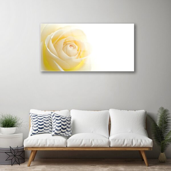 Quadro vetro Fiore di rosa pianta naturale 100x50 cm 2 appendini