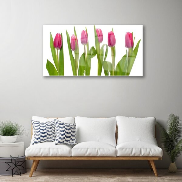Quadro vetro Tulipani Fiori Pianta 100x50 cm 2 appendini