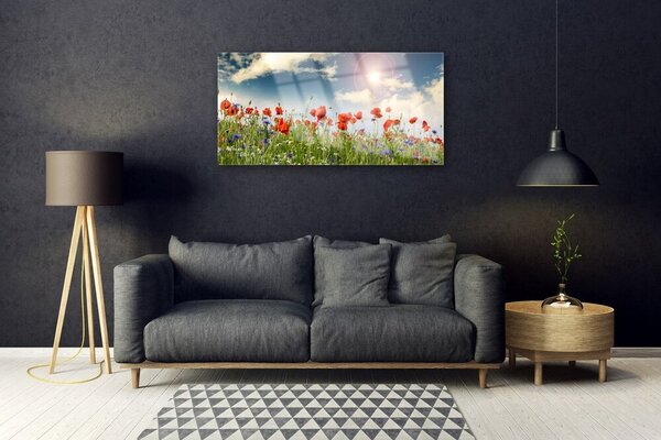 Quadro in vetro Prato Fiori Sole Natura 100x50 cm 2 appendini