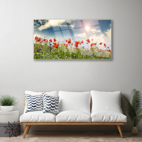 Quadro in vetro Prato Fiori Sole Natura 100x50 cm 2 appendini