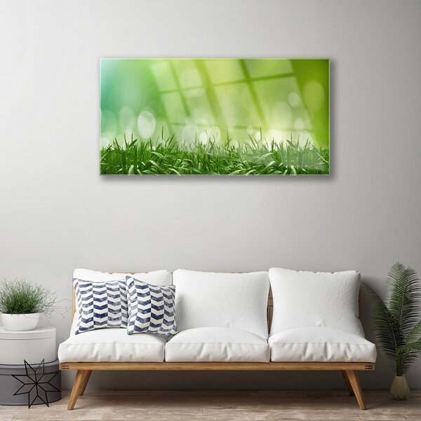 Quadro in vetro Erba Pianta Natura 100x50 cm 2 appendini