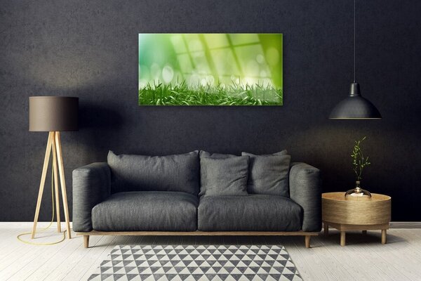 Quadro in vetro Erba Pianta Natura 100x50 cm 2 appendini