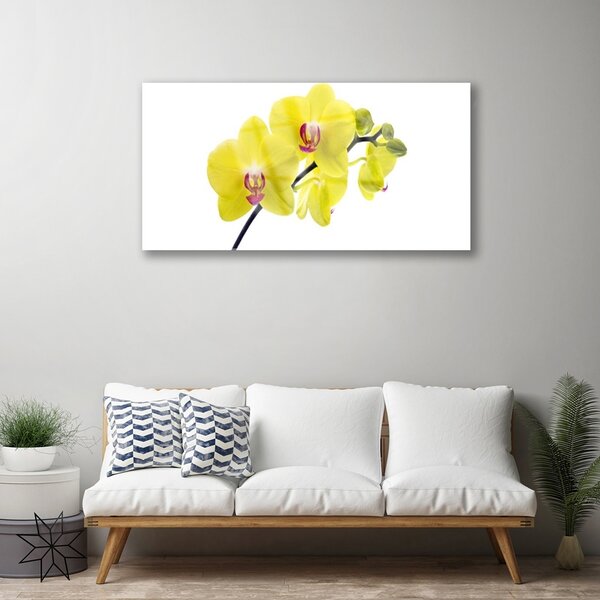 Quadro vetro Fiori Pianta naturale 100x50 cm 2 appendini