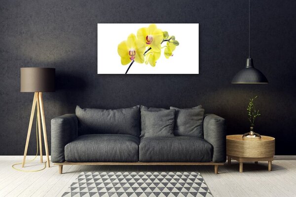 Quadro vetro Fiori Pianta naturale 100x50 cm 2 appendini