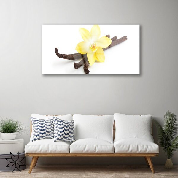 Quadro su vetro Pianta di vaniglia Natura 100x50 cm 2 appendini