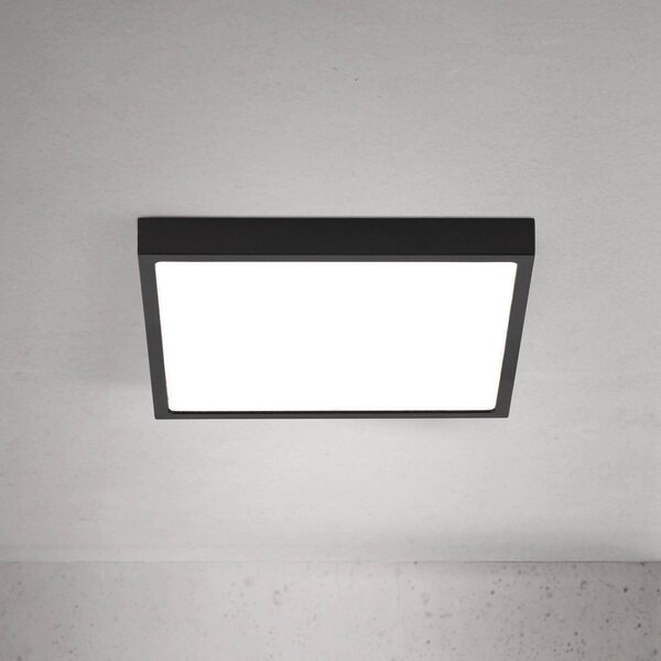 ORION Plafoniera a LED Disc, dimmerabile, Nero, Soggiorno / Sala da pranzo, Alluminio, Moderno, Plafoniera LED