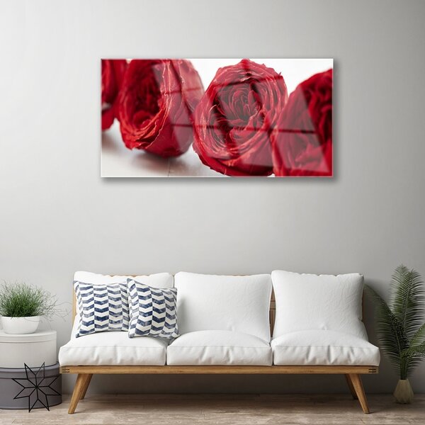 Quadro su vetro Rose Fiori Pianta 100x50 cm 2 appendini