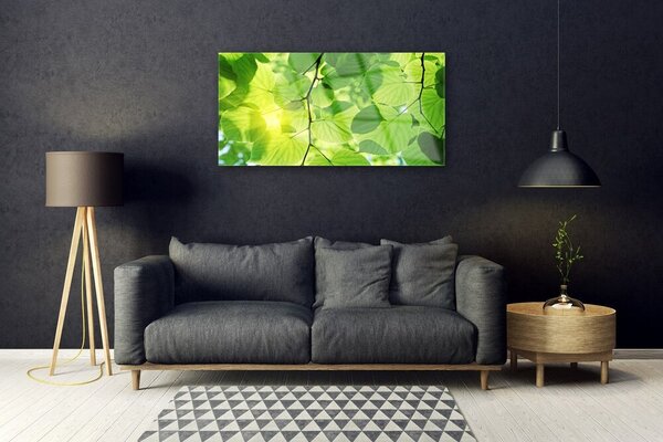 Quadro di vetro Foglia Natura Pianta 100x50 cm 2 appendini