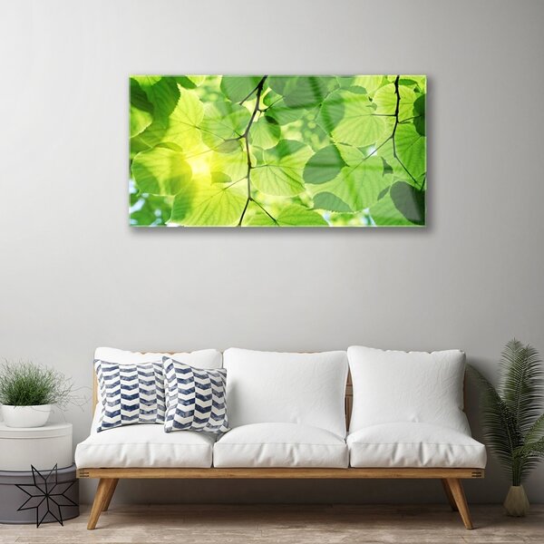 Quadro di vetro Foglia Natura Pianta 100x50 cm 2 appendini