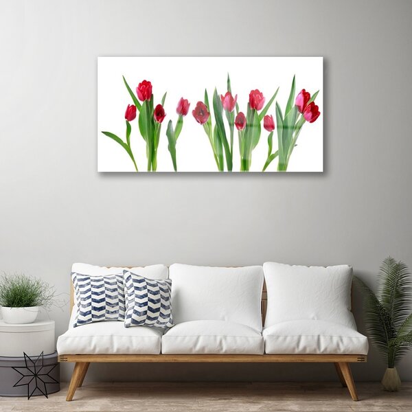 Quadro in vetro Tulipani Fiori Pianta 100x50 cm 2 appendini