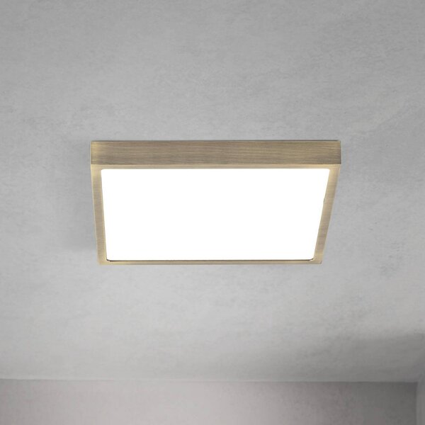 ORION Plafoniera a LED Disc, dimmerabile, Bronzo / Ottone antico, Soggiorno / Sala da pranzo, Alluminio, Moderno, Plafoniera LED