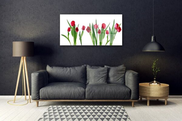 Quadro in vetro Tulipani Fiori Pianta 100x50 cm 2 appendini