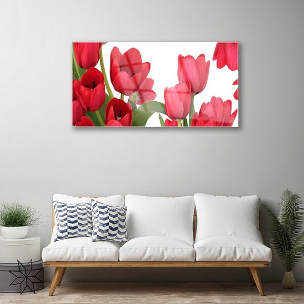 Quadro di vetro Tulipani Fiori Pianta 100x50 cm 2 appendini