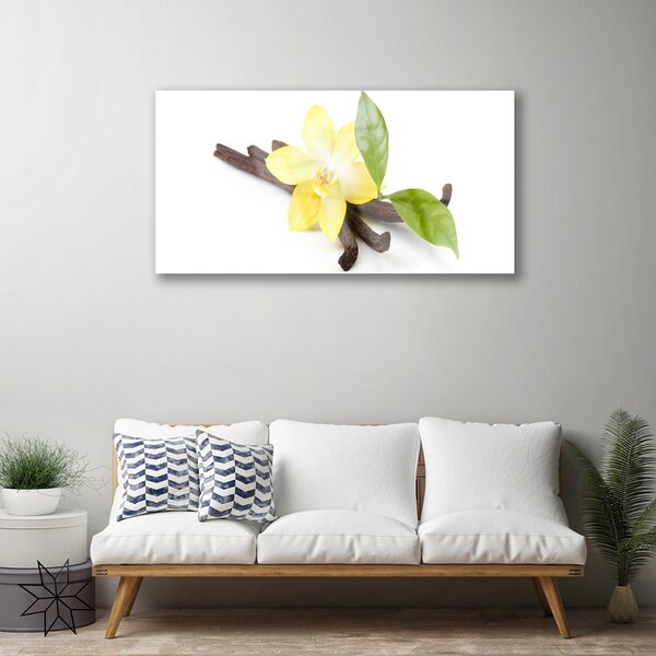 Quadro vetro Pianta delle foglie di vaniglia 100x50 cm 2 appendini