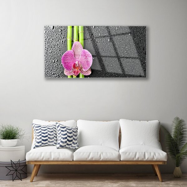 Quadro vetro Fiore di bambù Pianta Natura 100x50 cm 2 appendini