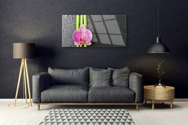 Quadro vetro Fiore di bambù Pianta Natura 100x50 cm 2 appendini
