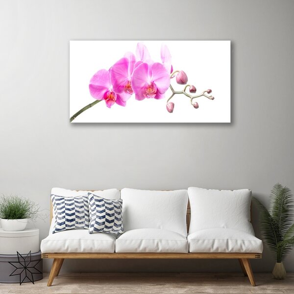 Quadro su vetro Fiori Pianta naturale 100x50 cm 2 appendini