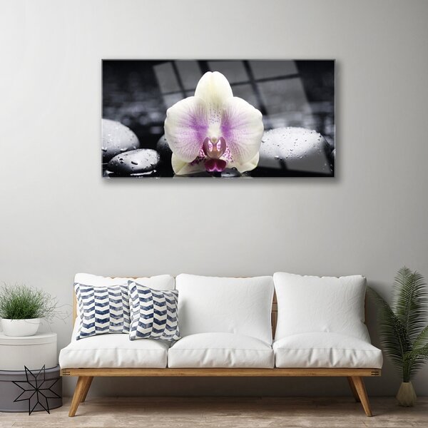 Quadro vetro Pianta di orchidea da fiore 100x50 cm 2 appendini