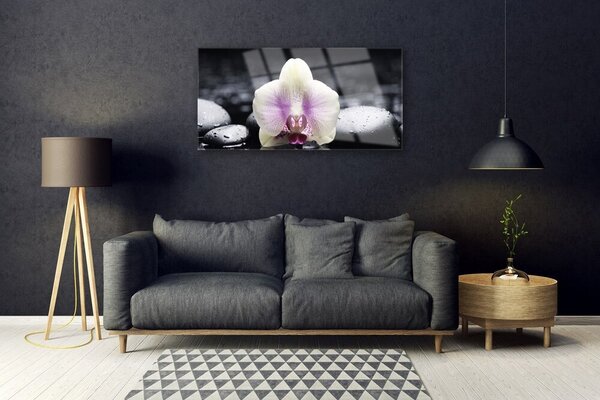 Quadro vetro Pianta di orchidea da fiore 100x50 cm 2 appendini