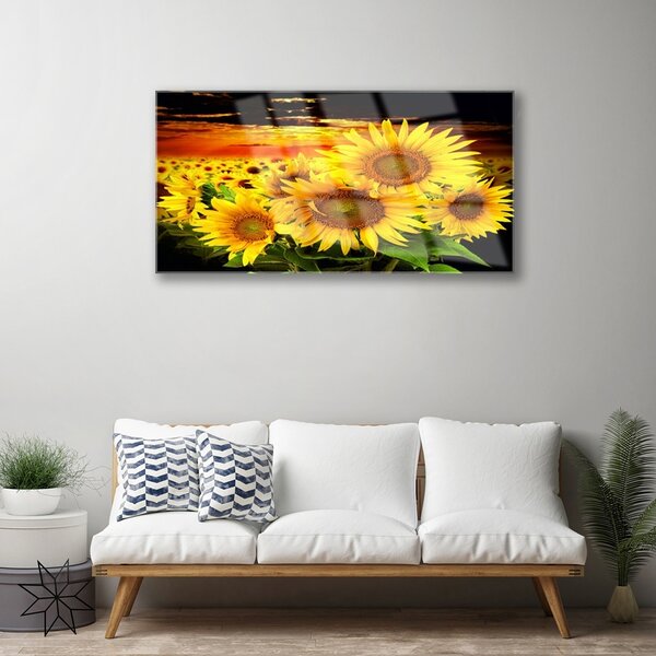Quadro in vetro Pianta di girasole 100x50 cm 2 appendini