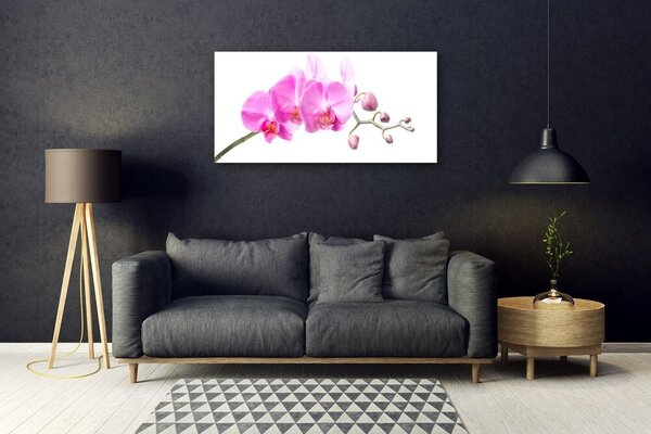 Quadro su vetro Fiori Pianta naturale 100x50 cm 2 appendini