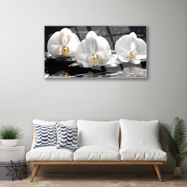 Quadro di vetro Fiore di orchidea bianco 100x50 cm 2 appendini