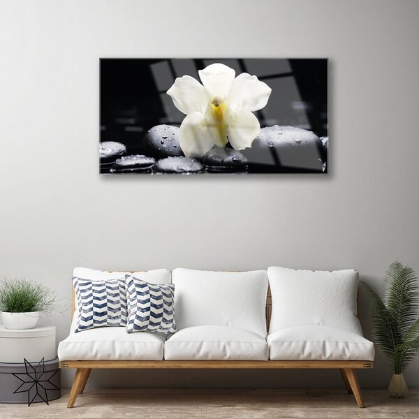 Quadro in vetro Pianta di orchidea da fiore 100x50 cm 2 appendini
