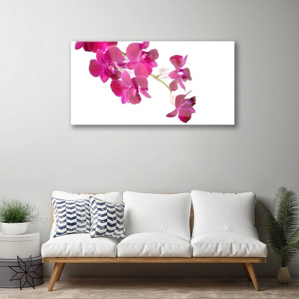 Quadro vetro Fiori Pianta naturale 100x50 cm 2 appendini