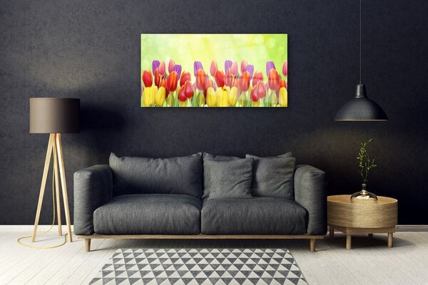 Quadro di vetro Tulipani Fiori Pianta 100x50 cm 2 appendini