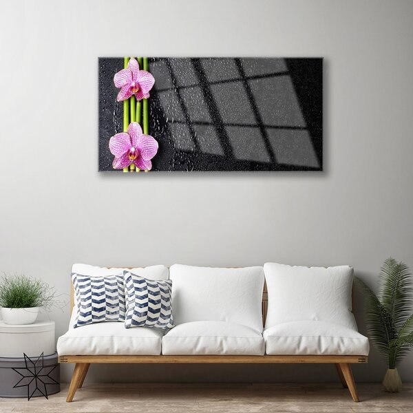 Quadro in vetro Fiore di bambù Pianta Natura 100x50 cm 2 appendini