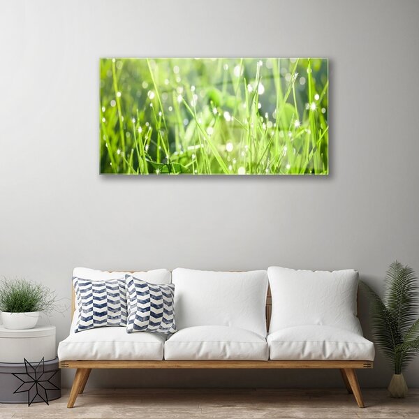 Quadro su vetro Erba Pianta Natura 100x50 cm 2 appendini