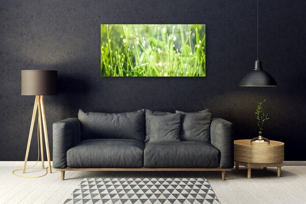 Quadro su vetro Erba Pianta Natura 100x50 cm 2 appendini