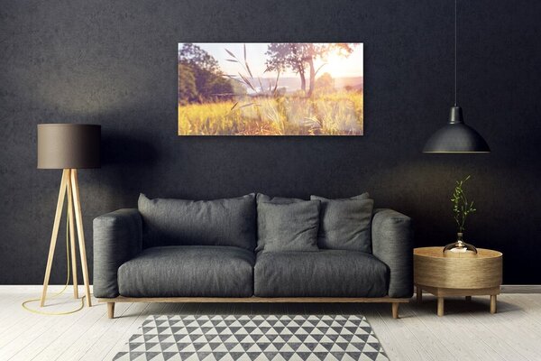 Quadro in vetro Prato Erba Albero Natura 100x50 cm 2 appendini