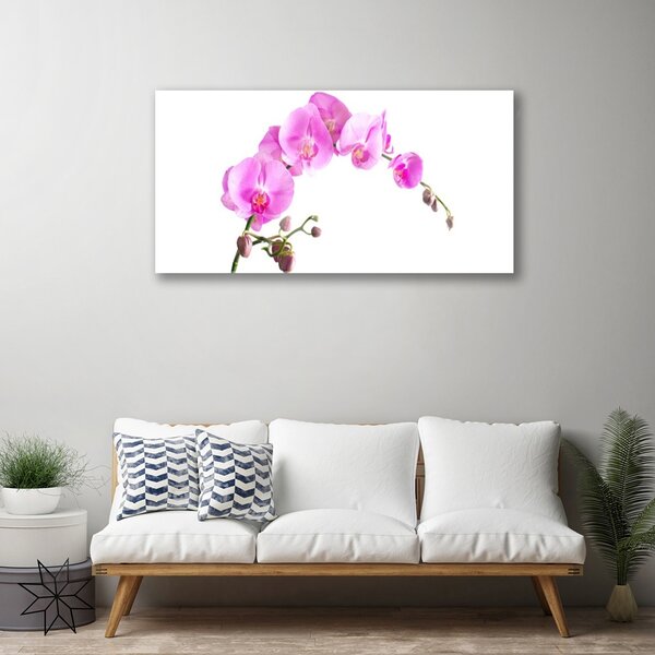 Quadro in vetro Fiori Pianta naturale 100x50 cm 2 appendini