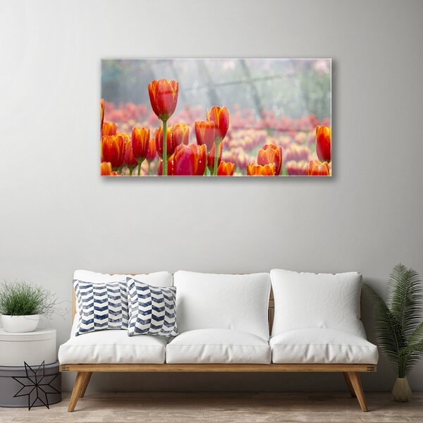Quadro su vetro Tulipani Fiori Pianta 100x50 cm 2 appendini