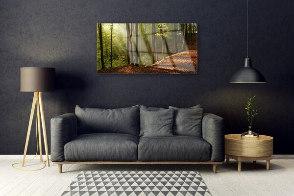 Quadro su vetro Foresta Alberi Natura 100x50 cm 2 appendini