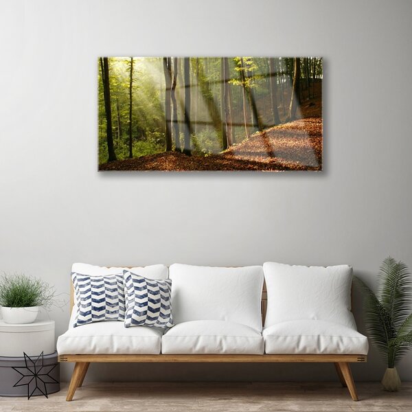 Quadro su vetro Foresta Alberi Natura 100x50 cm 2 appendini