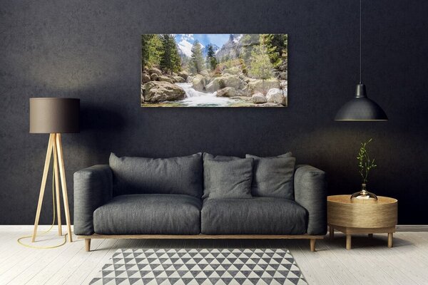 Quadro vetro Foresta di montagna Stones River 100x50 cm 2 appendini