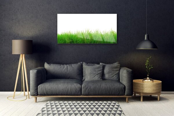 Quadro in vetro Erba Pianta Natura 100x50 cm 2 appendini
