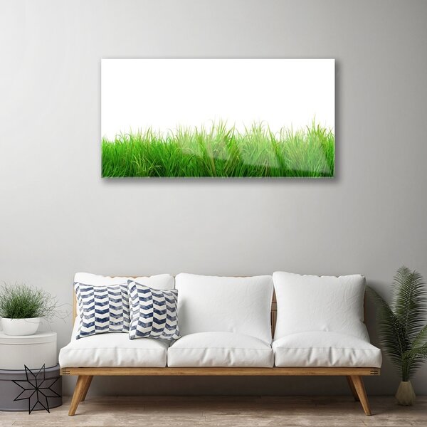 Quadro in vetro Erba Pianta Natura 100x50 cm 2 appendini