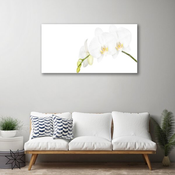 Quadro vetro Fiori Pianta naturale 100x50 cm 2 appendini