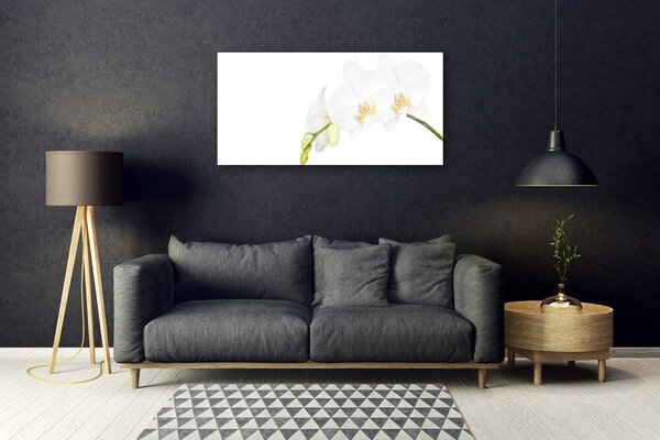 Quadro vetro Fiori Pianta naturale 100x50 cm 2 appendini