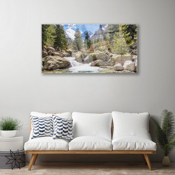 Quadro vetro Foresta di montagna Stones River 100x50 cm 2 appendini