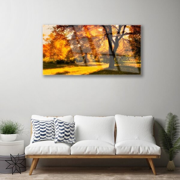 Quadro vetro Alberi Autunno Natura 100x50 cm 2 appendini
