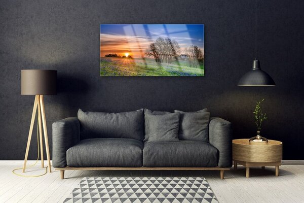 Quadro in vetro Prato Sole Paesaggio 100x50 cm 2 appendini