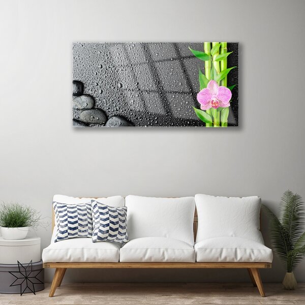 Quadro su vetro Pianta di bambù a stelo fiorito 100x50 cm 2 appendini