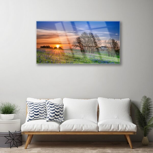 Quadro in vetro Prato Sole Paesaggio 100x50 cm 2 appendini