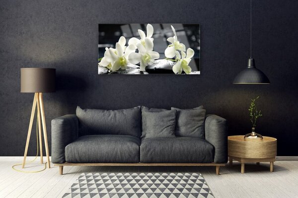 Quadro su vetro Pianta di orchidea da fiore 100x50 cm 2 appendini