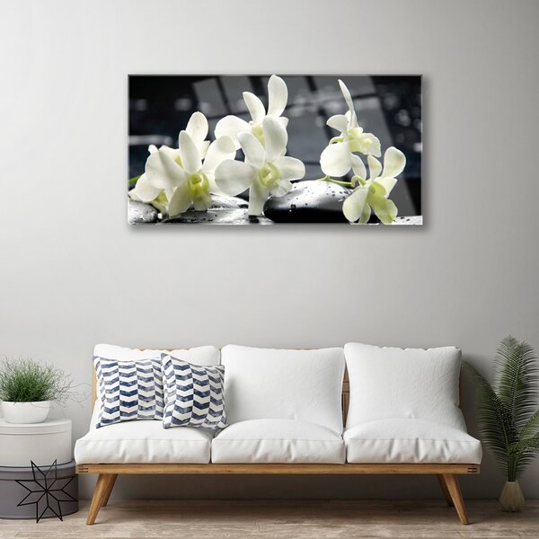 Quadro su vetro Pianta di orchidea da fiore 100x50 cm 2 appendini