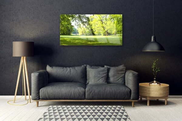 Quadro in vetro Erba Alberi Parco Natura 100x50 cm 2 appendini